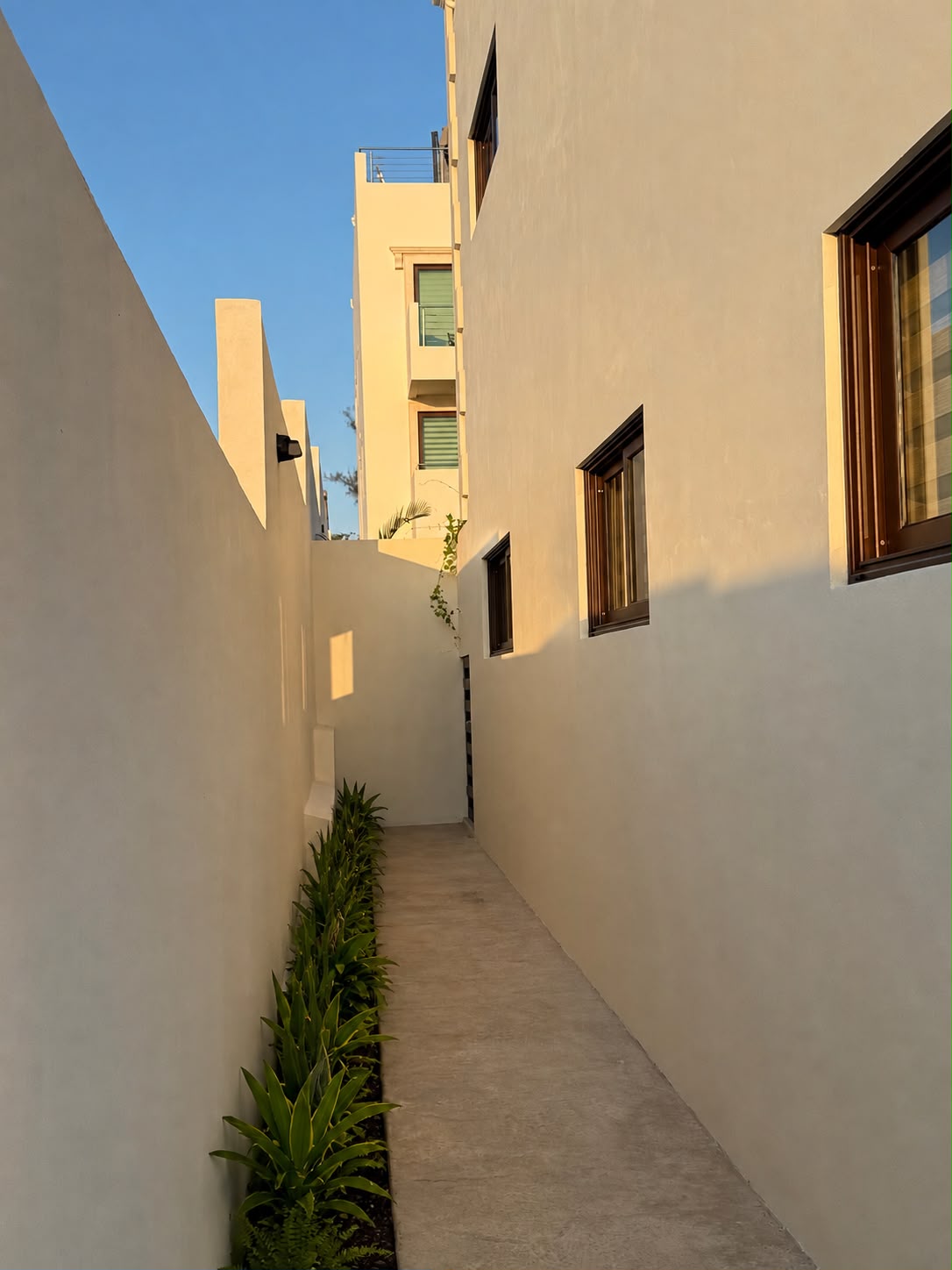 Sunlit side passage between the estate buildings with a planted border