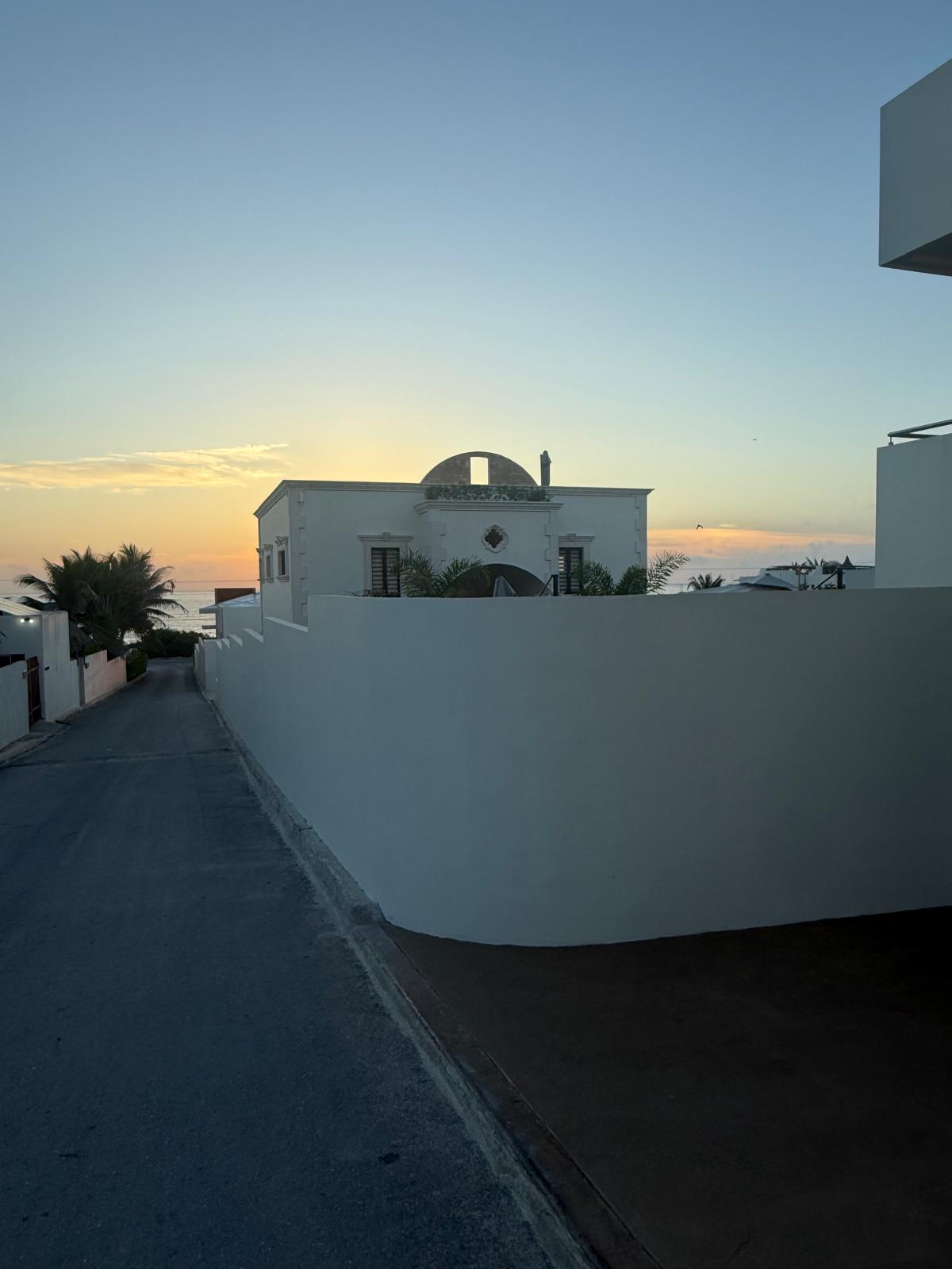 Estate exterior and street at twilight