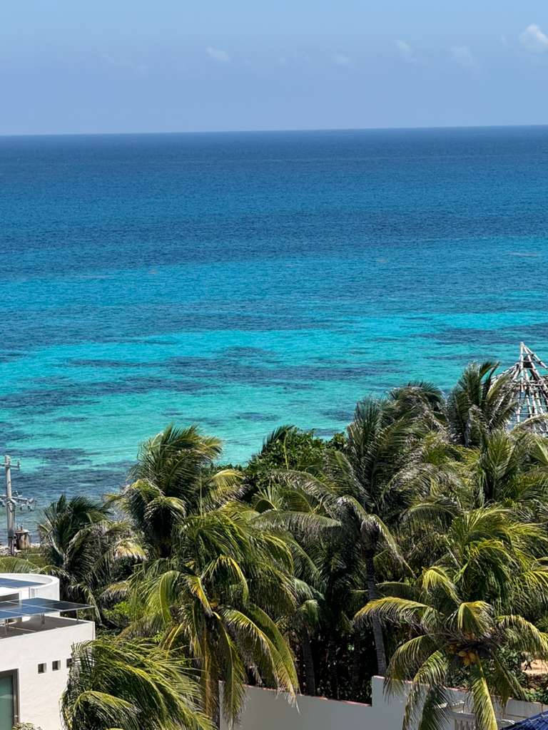 Turquoise Caribbean water and palm treetops from the estate