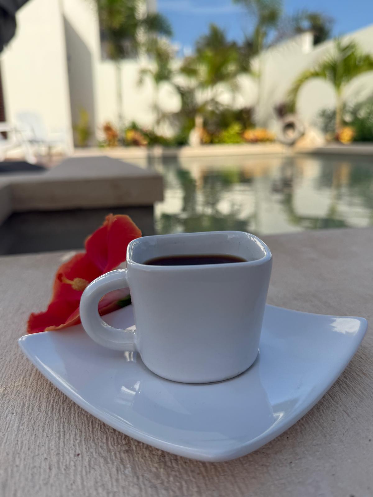 Morning coffee with a hibiscus bloom beside the courtyard pool