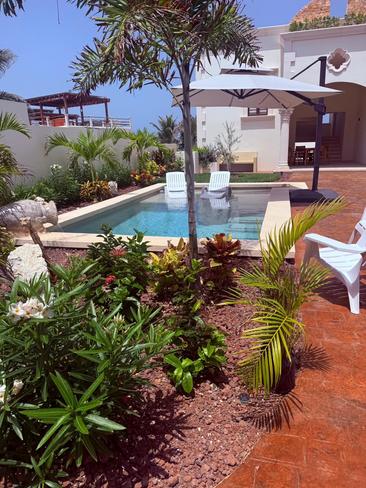 Courtyard pool with tropical gardens and lounge chairs