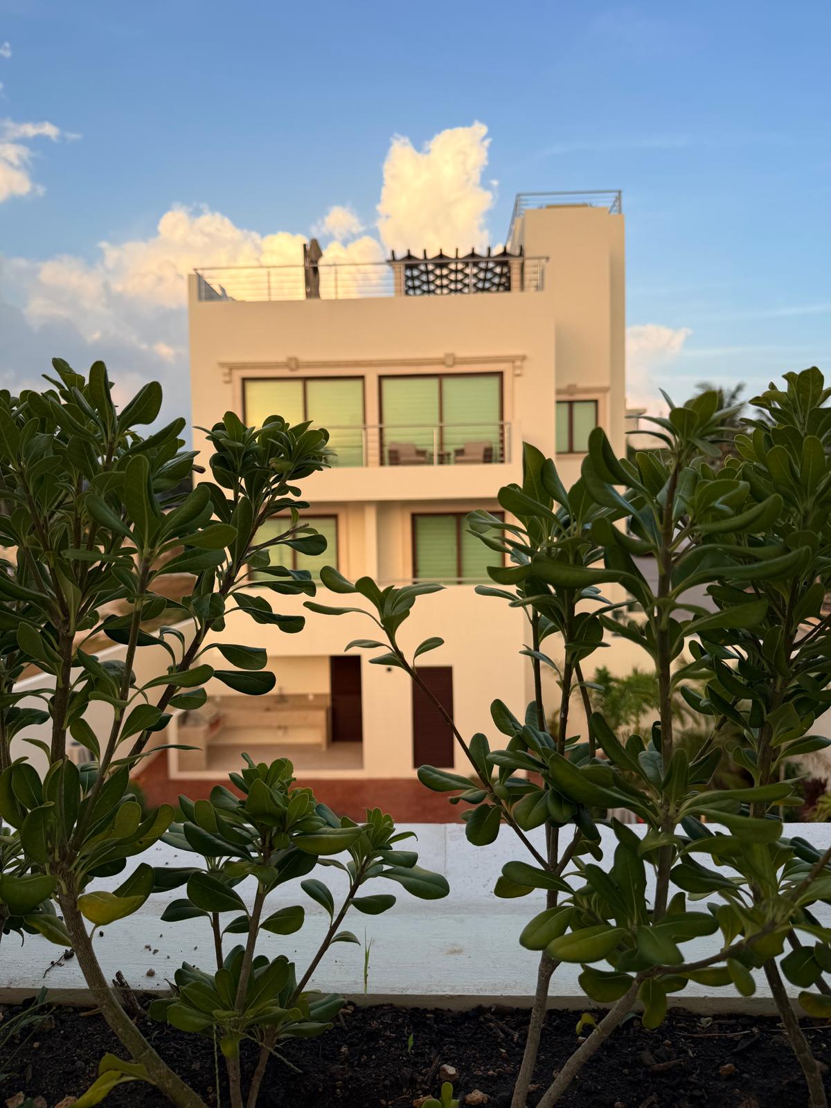 Estate facade at golden hour seen through garden foliage